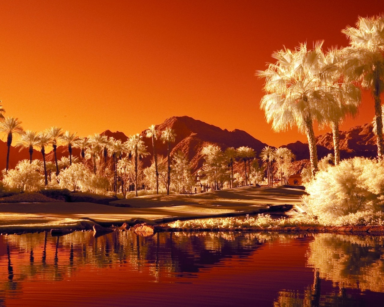 Последний закат