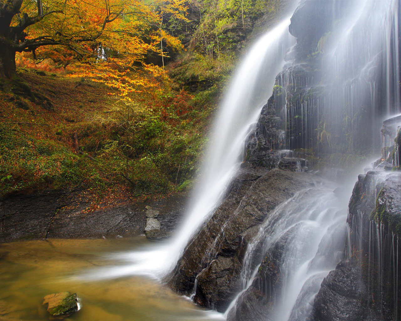 Водопад в лесу