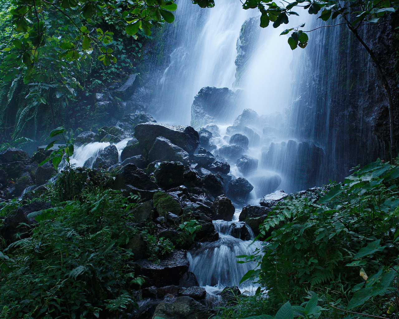 Лесной водопад