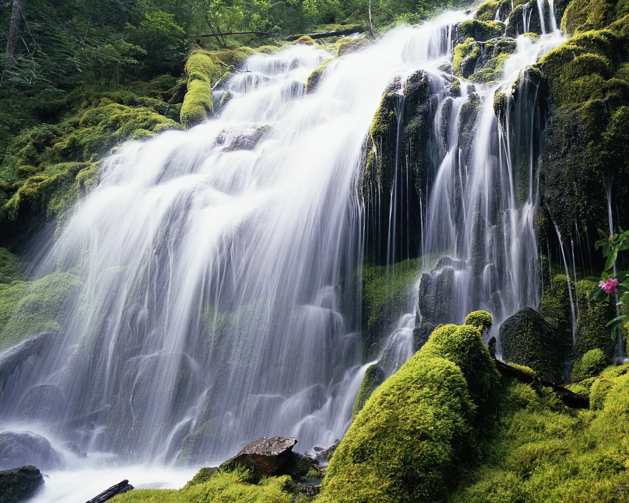 Красивый лесной водопад