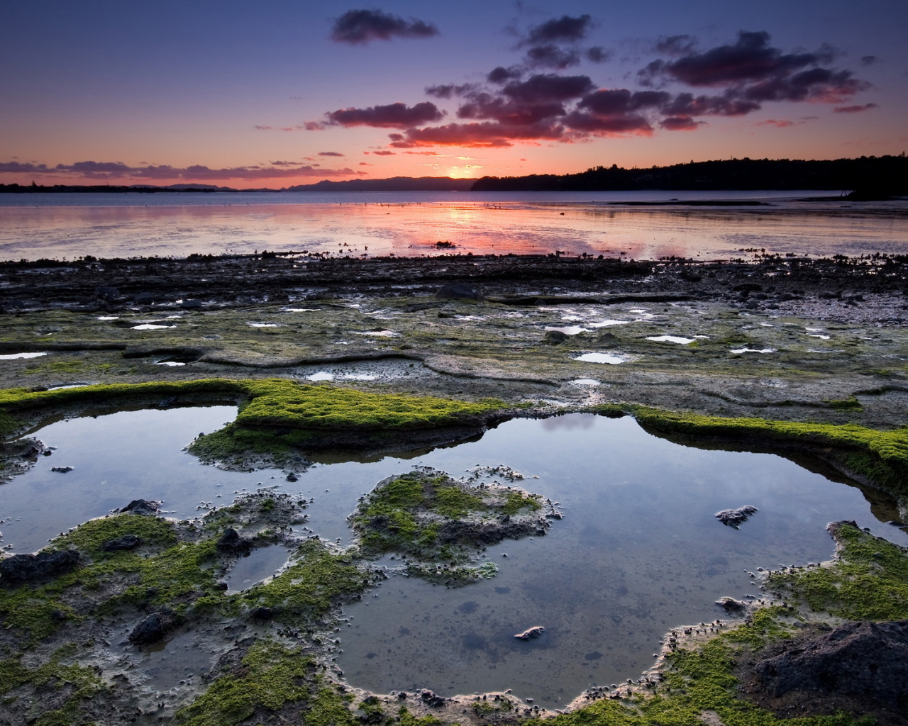 Омелевший берег