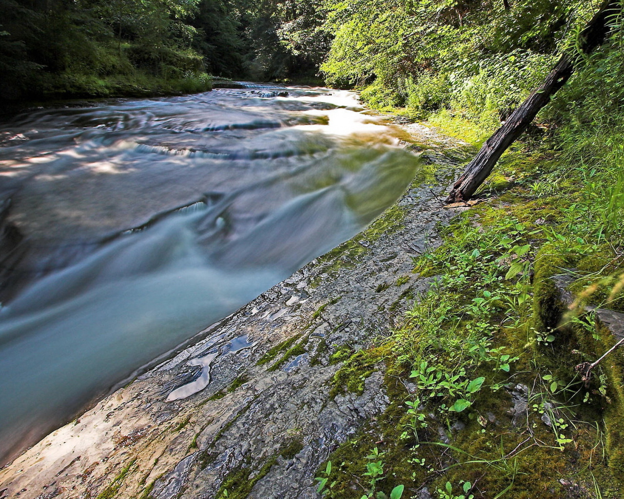 Стремительная речка
