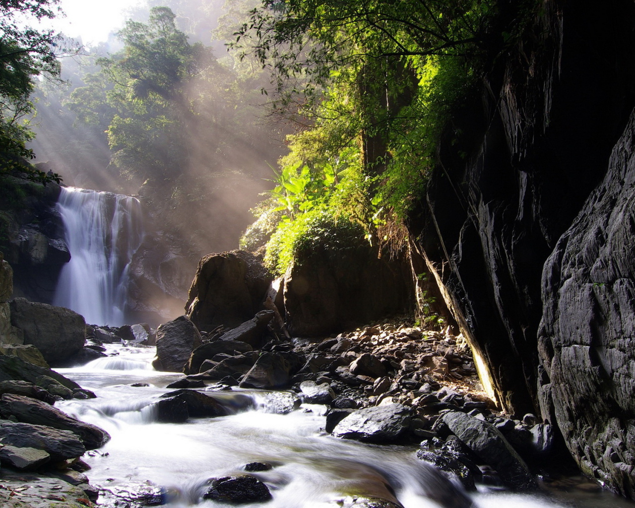 Ручей, лес, камни