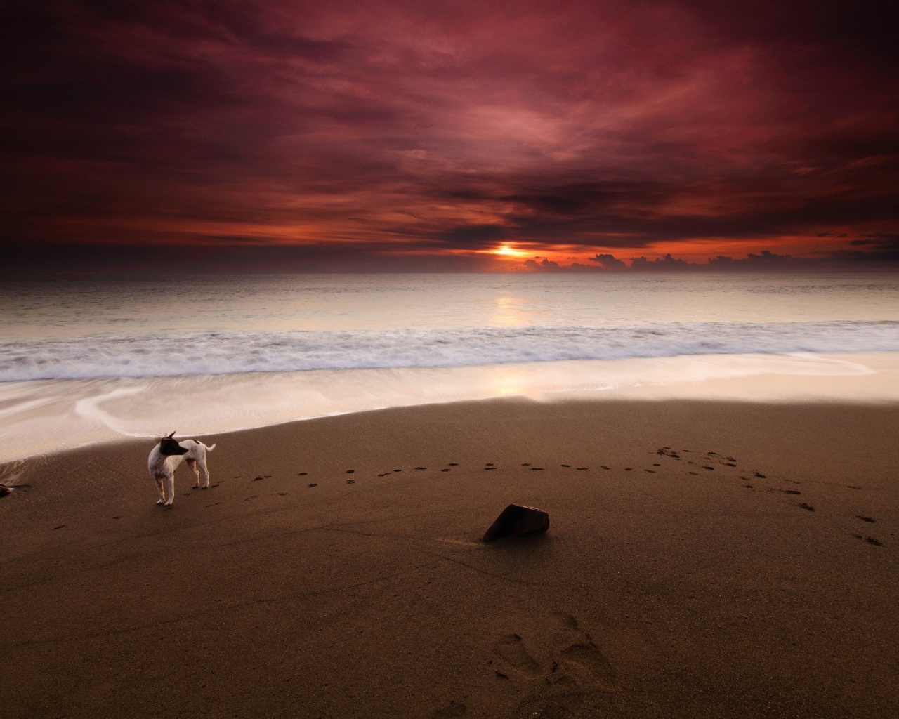 Фото Вечер на морском берегу