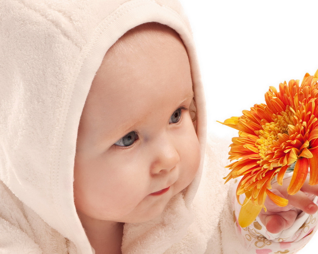 Малыш и цветок