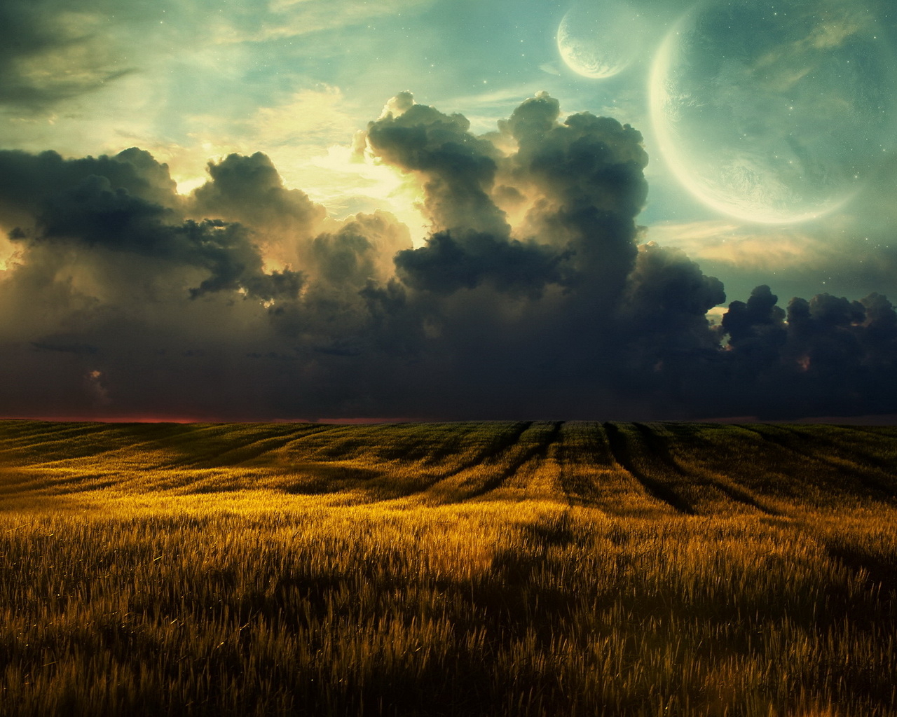 Золотое поле