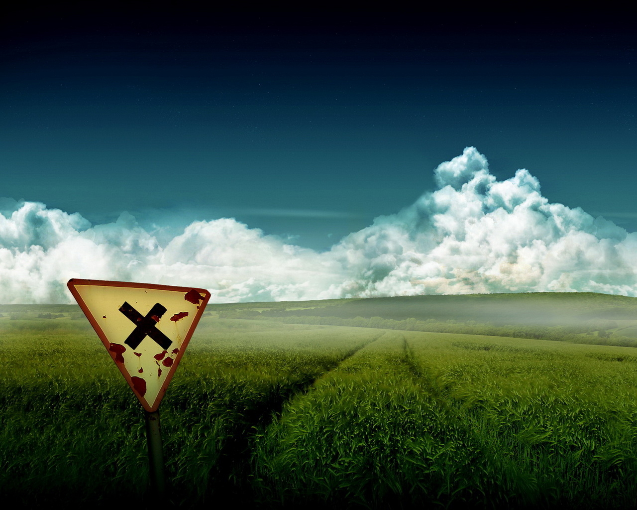 Зеленое поле