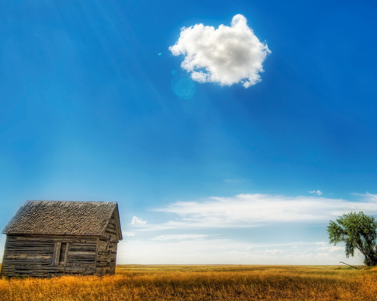 Старый сарай в поле