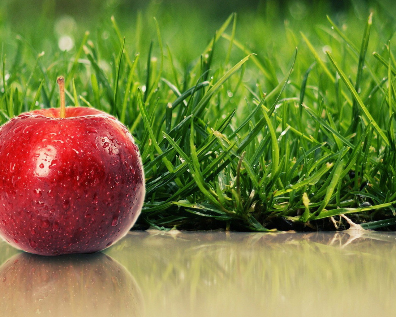 Сладкое яблочко