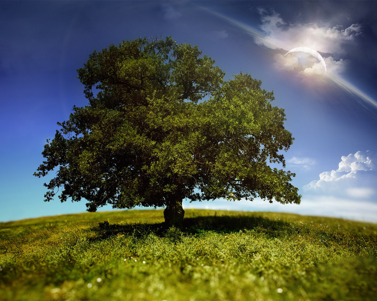 Мир фантазии