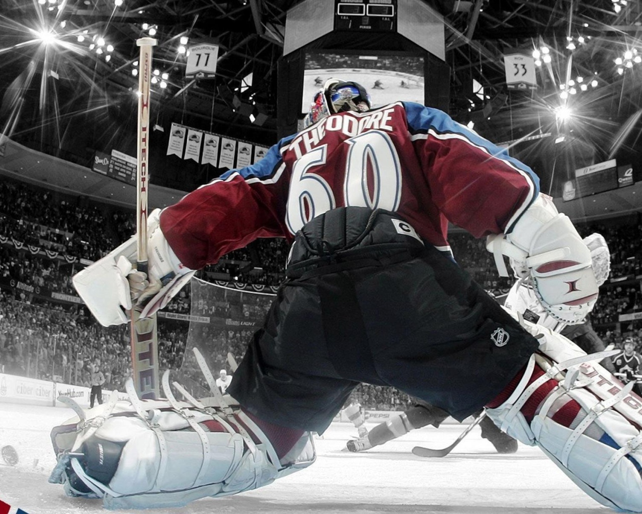 Жозе Теодор, НХЛ