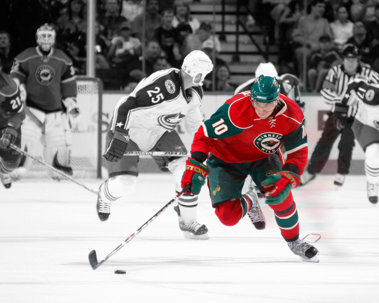 Minnesota Wild, NHL