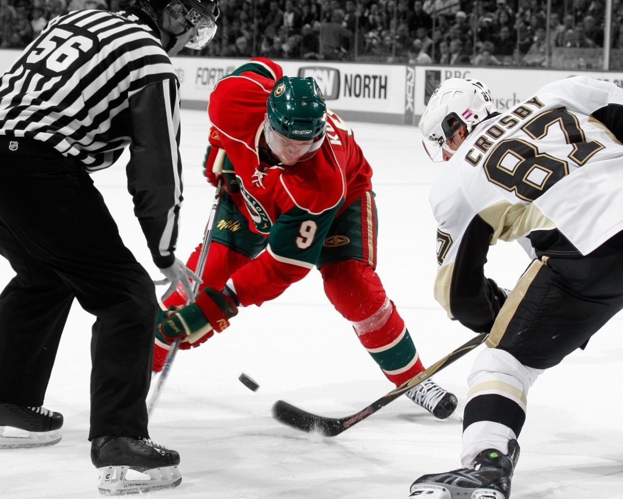 хоккей, лед, шайба