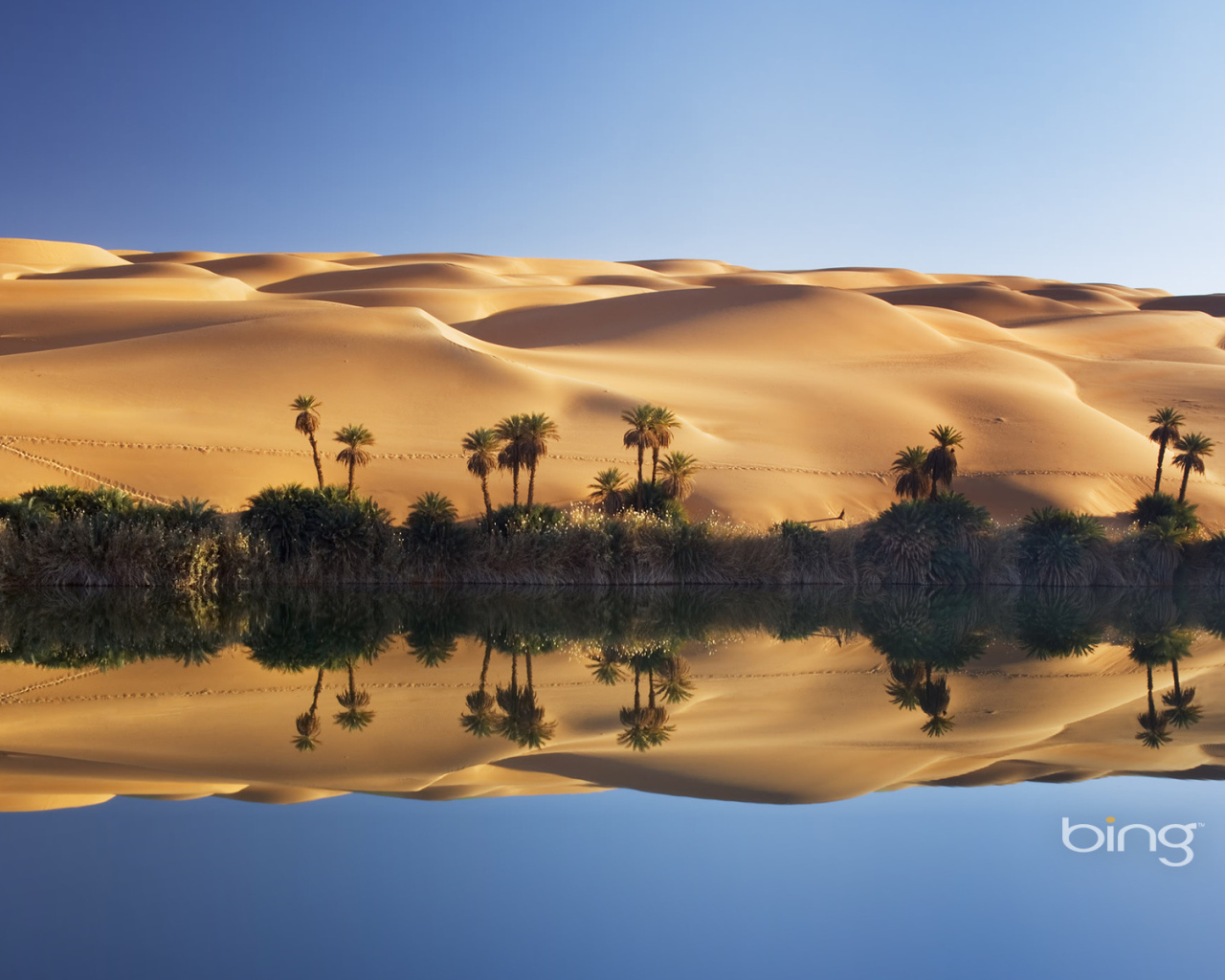 Ливия Озеро Эль Ма