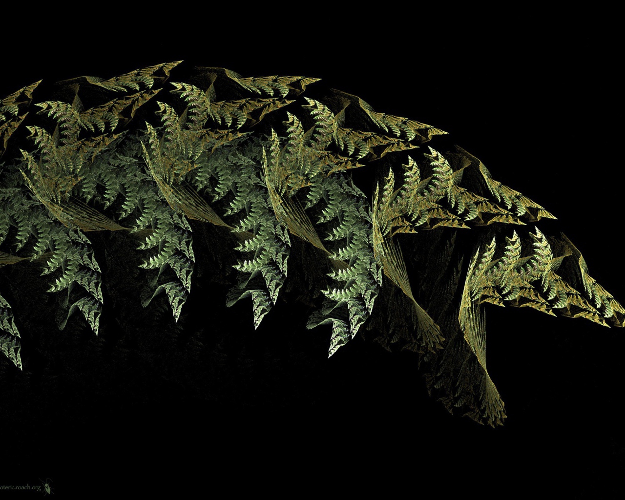 Листья папоротника