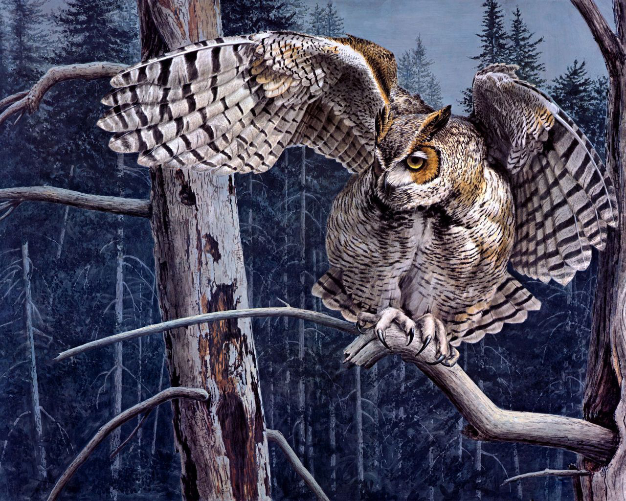 Нарисованный филин