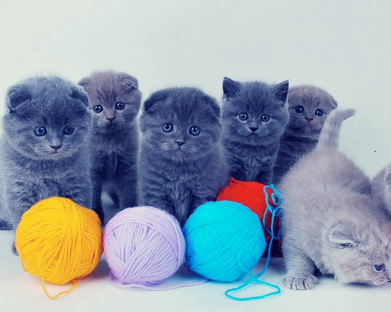 Котята и клубки