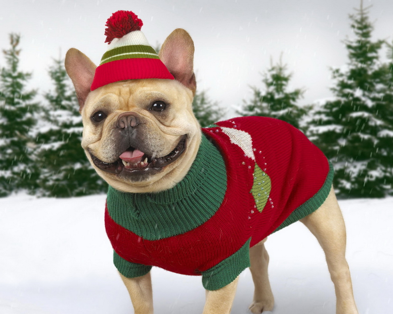 Нарядная собачка