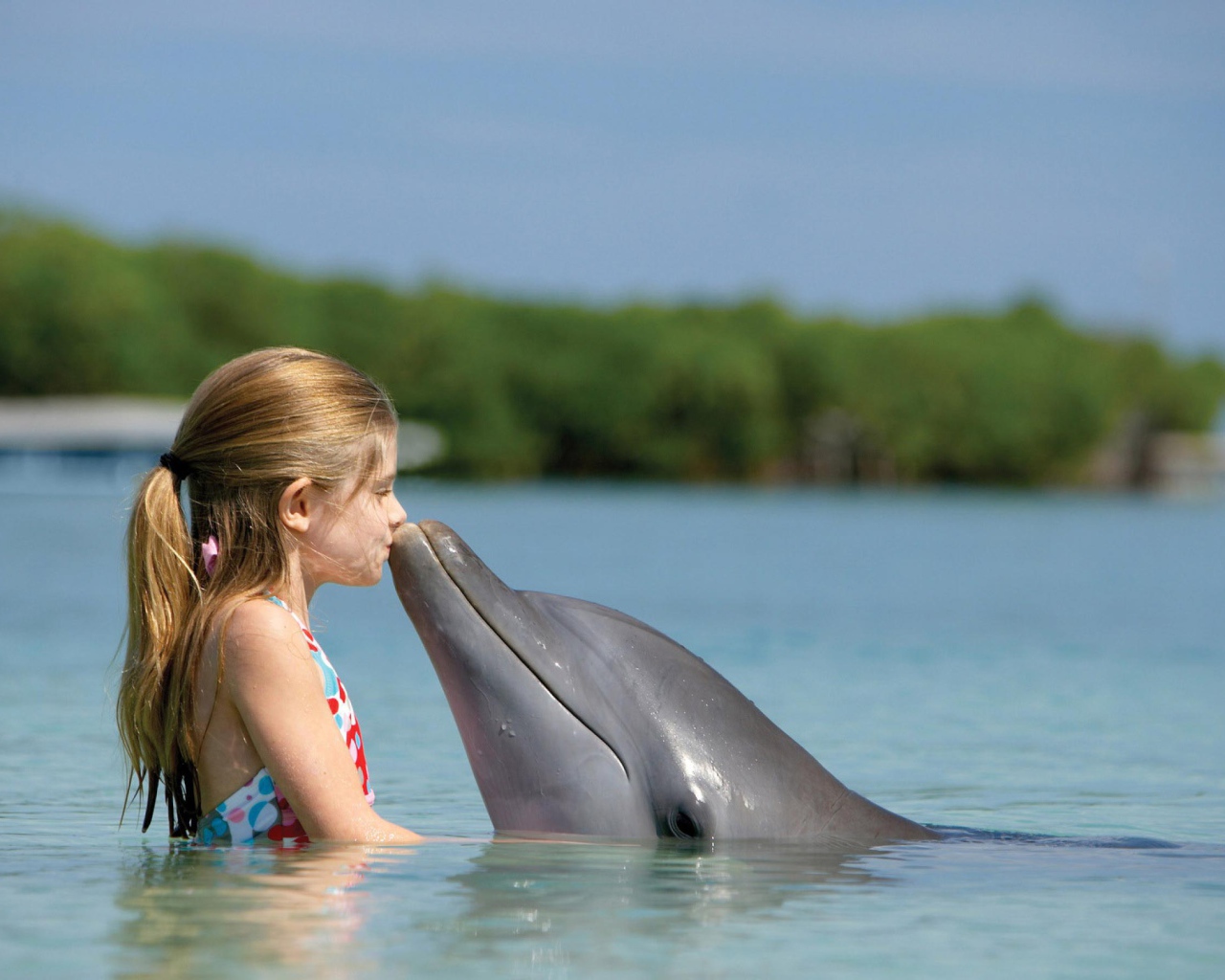 Dolphin and girl