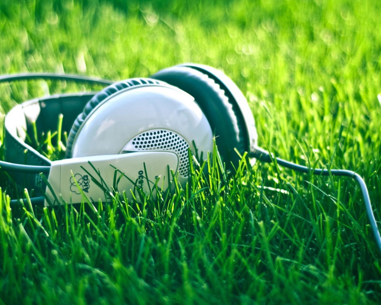 Наушники на траве