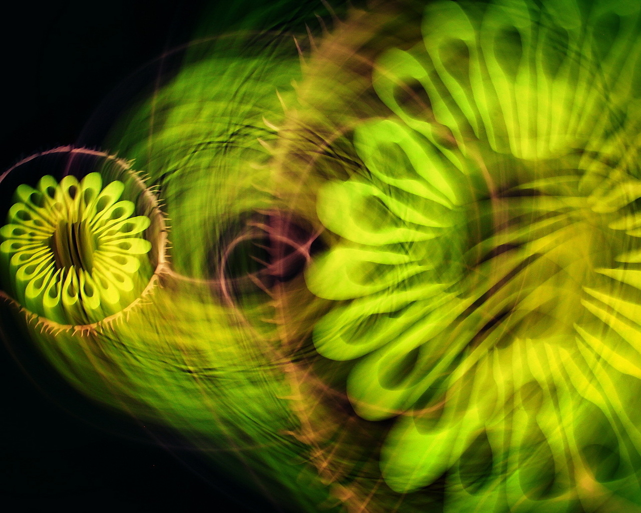 Зеленая абстракция