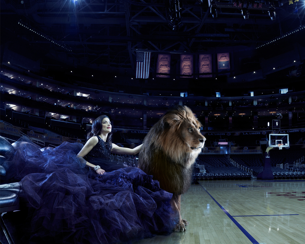 Дикая кошка