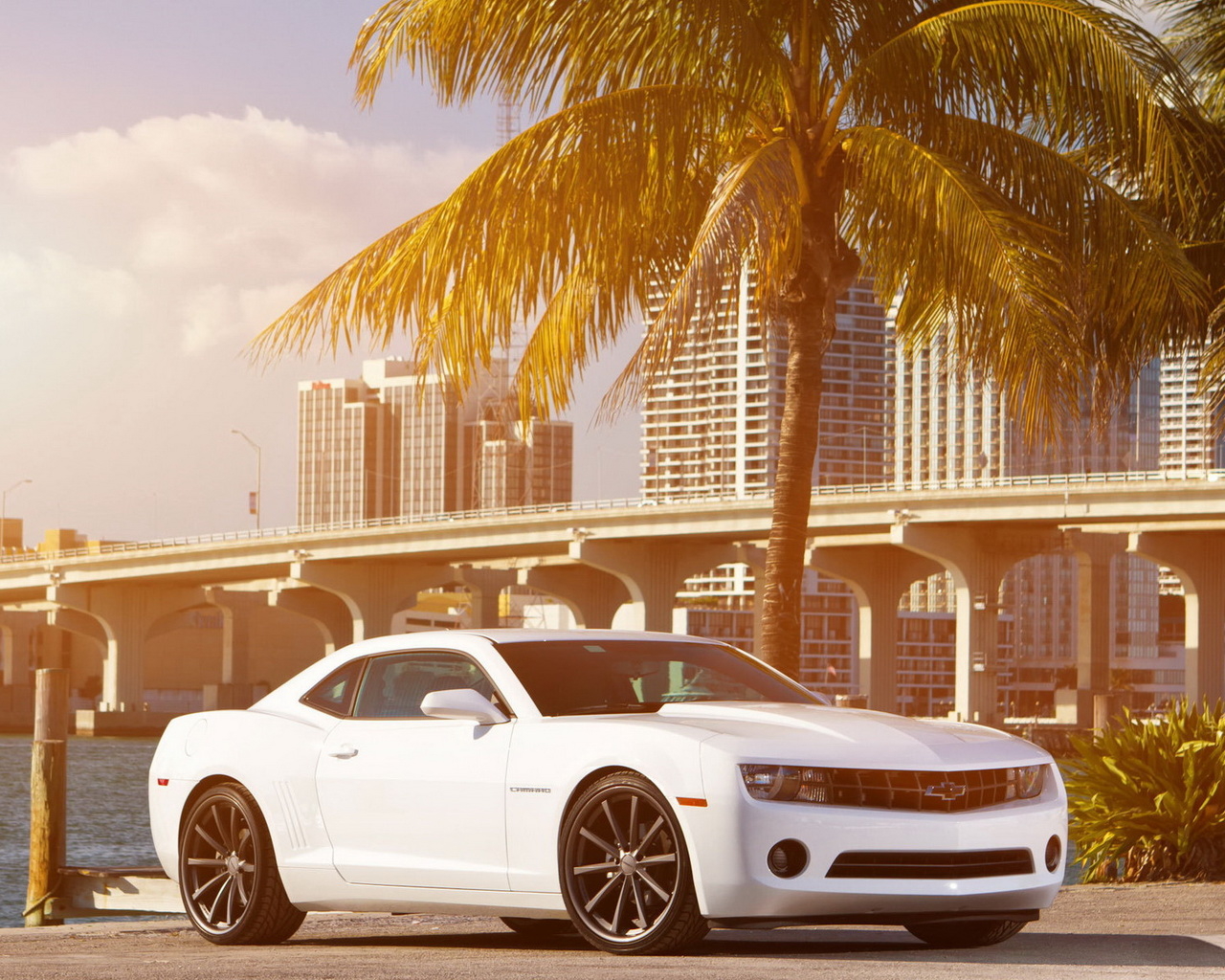 Chevrolet Camaro под пальмой