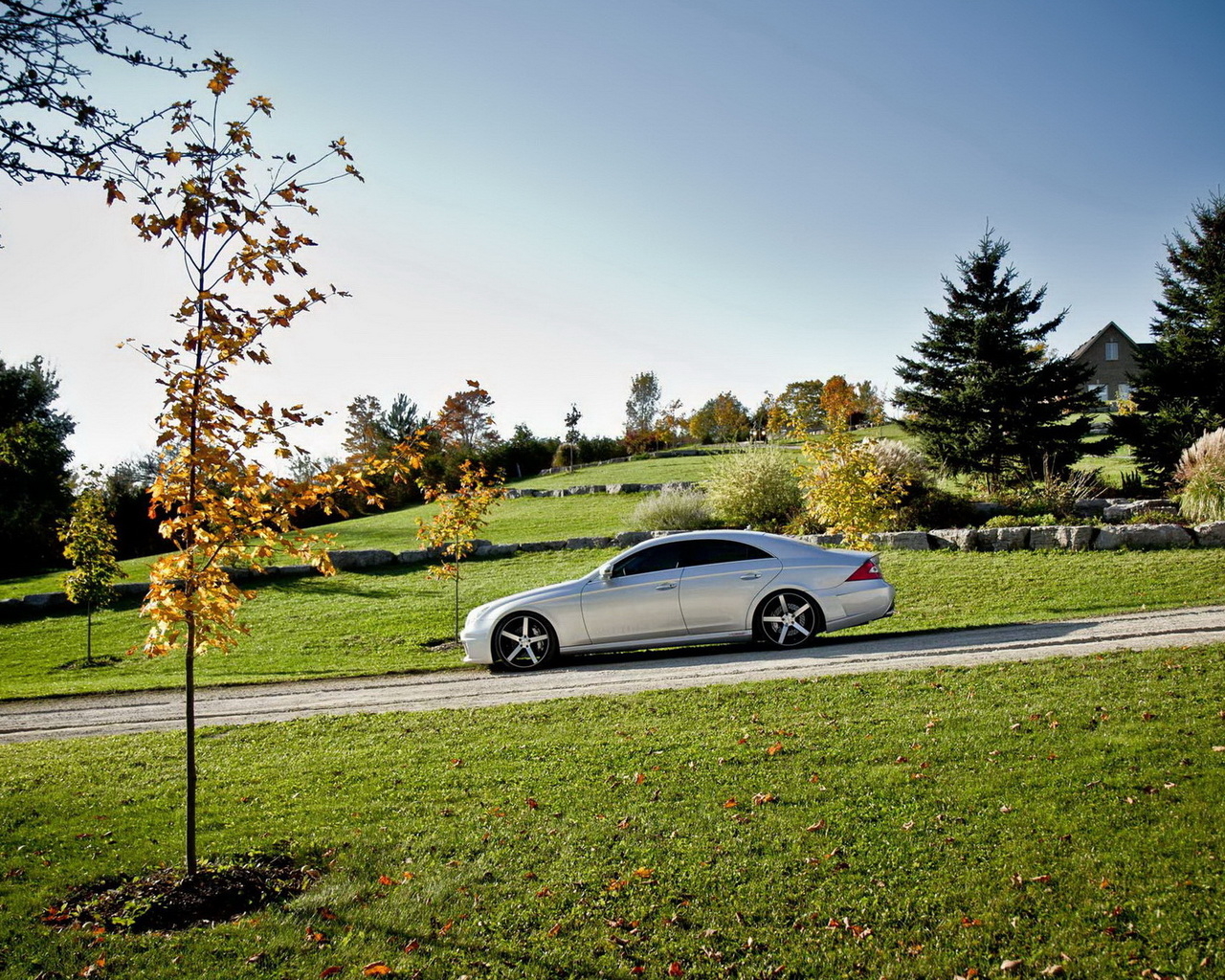 Mercedes Benz CLS на природе