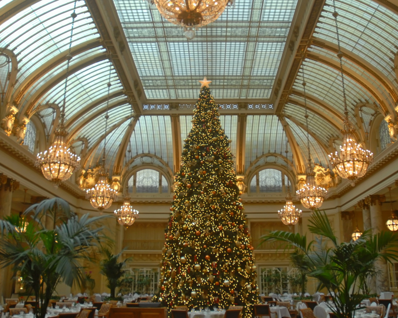 Новогодняя елка в зале