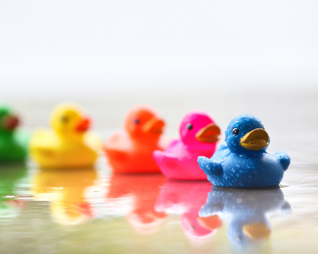 Разноцветные уточки