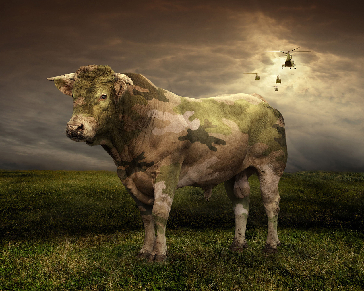 Корова цвета хаки