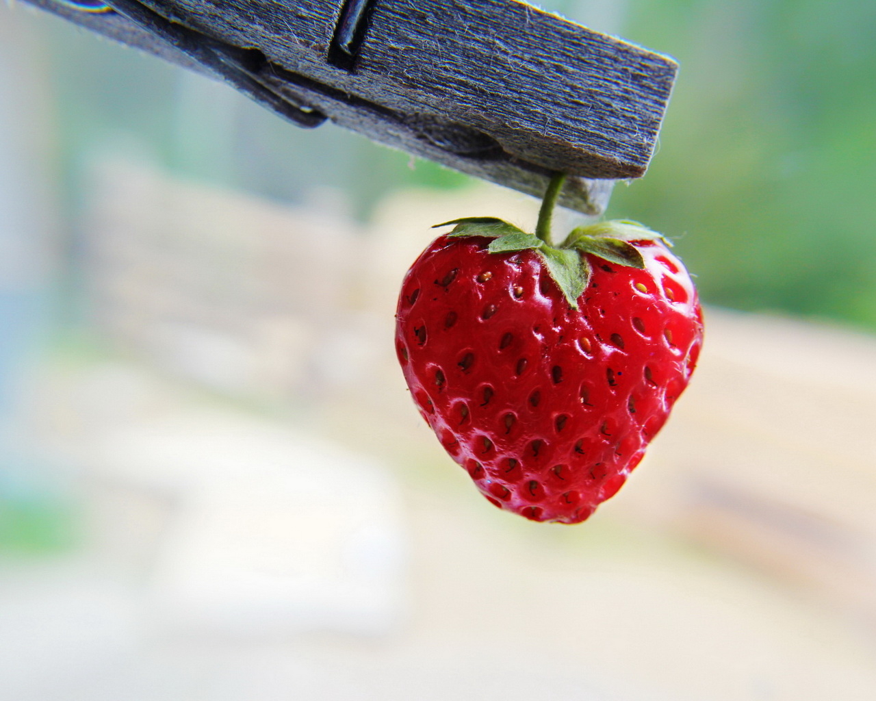 Ягода на прищепке