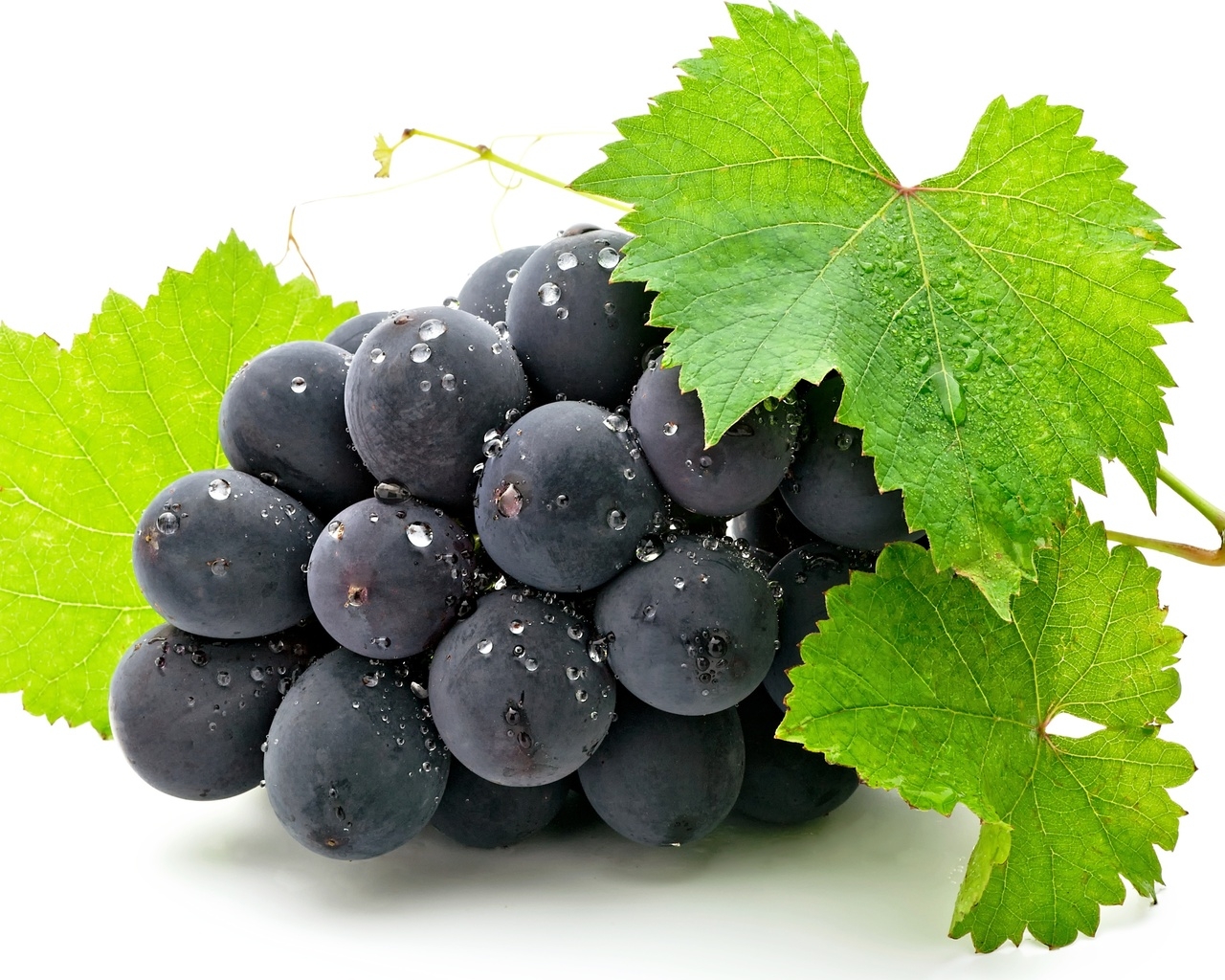 Виноградная кисть
