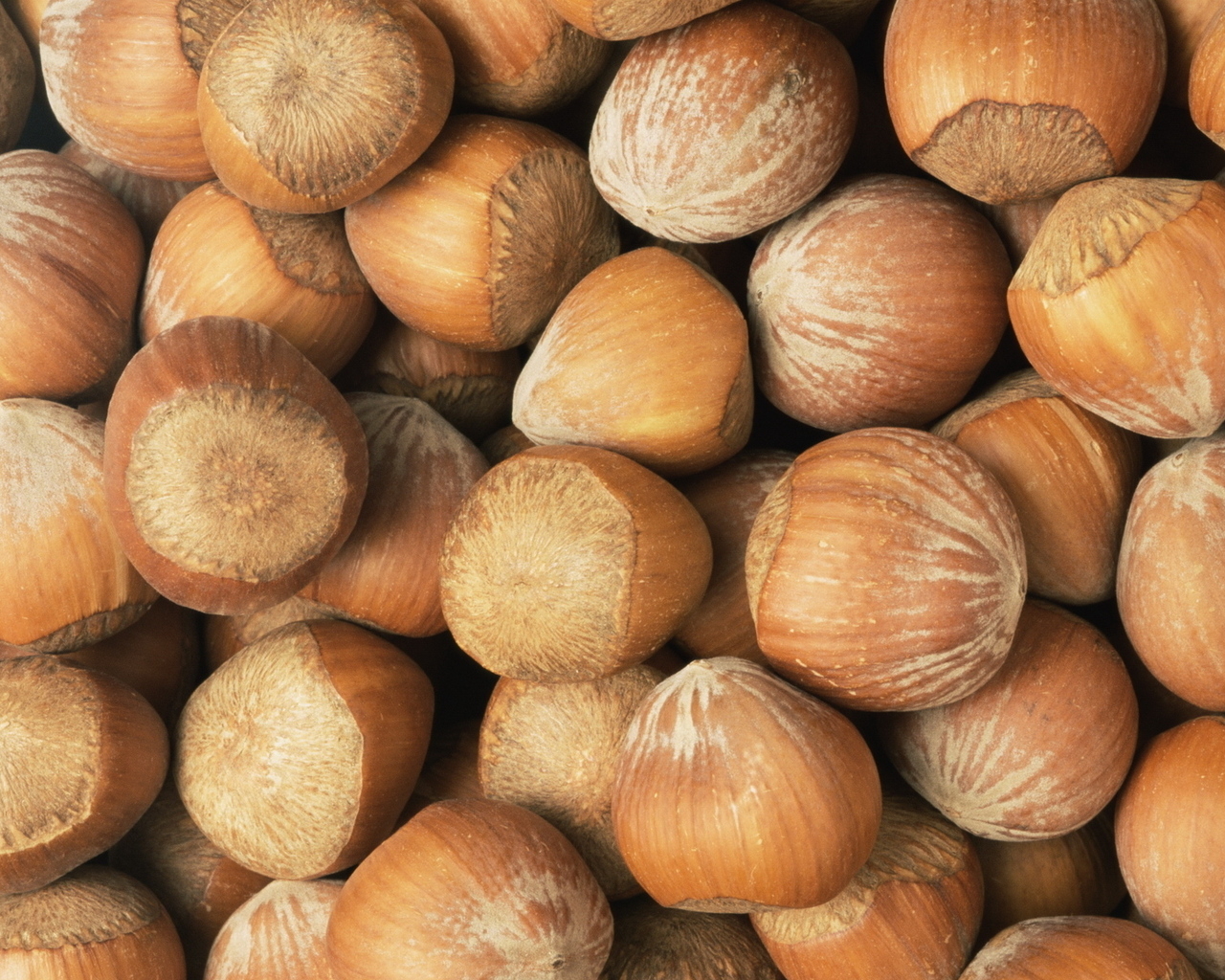 Лесные орехи