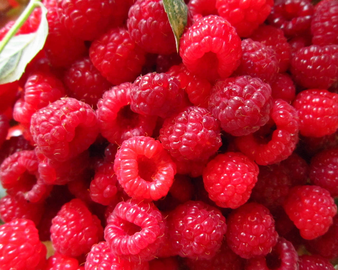 Спелая малина