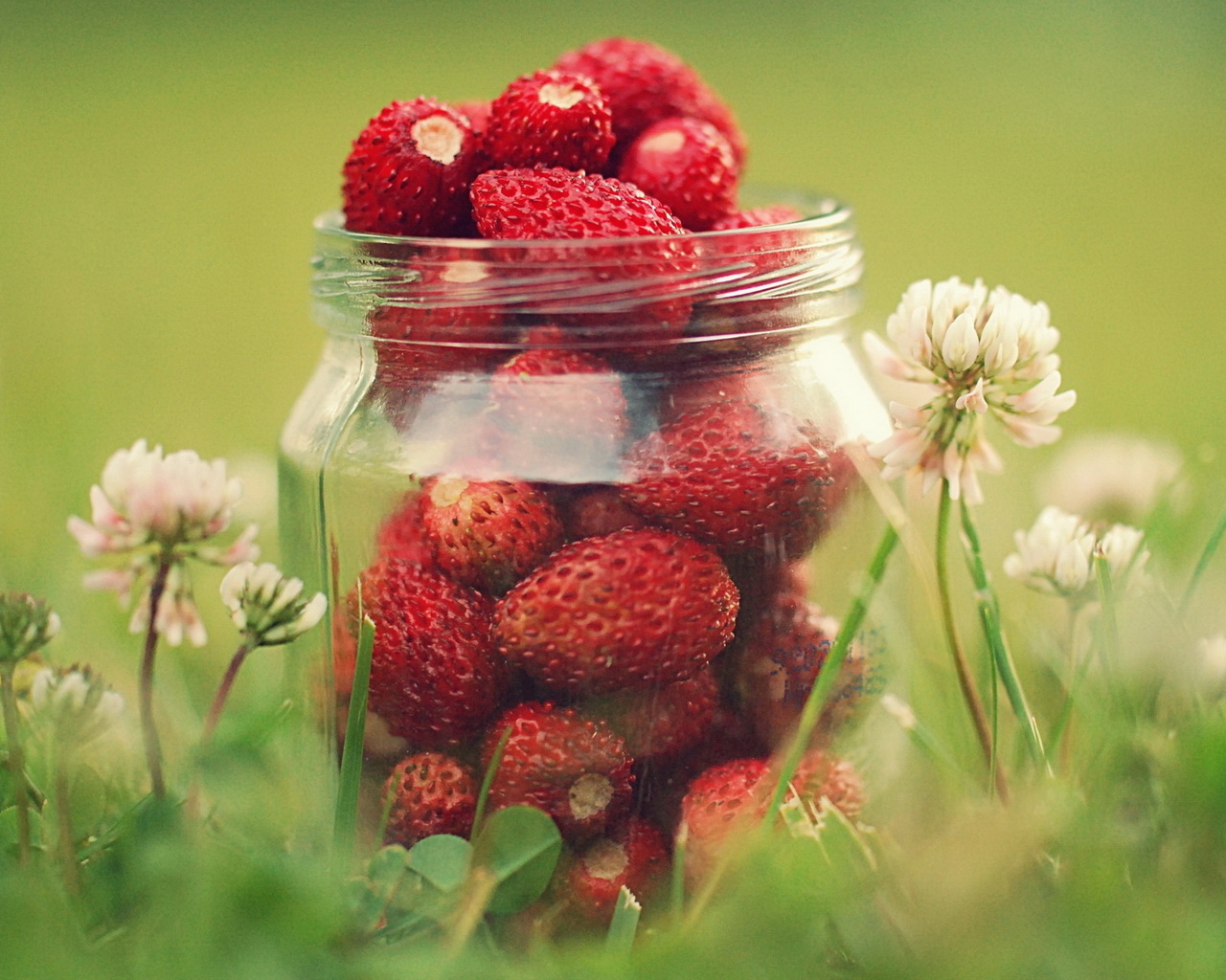 Земляника в банке