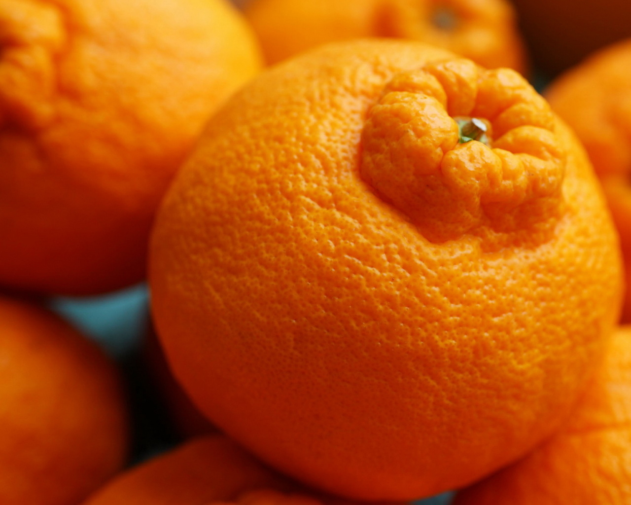 Россыпь мандаринов