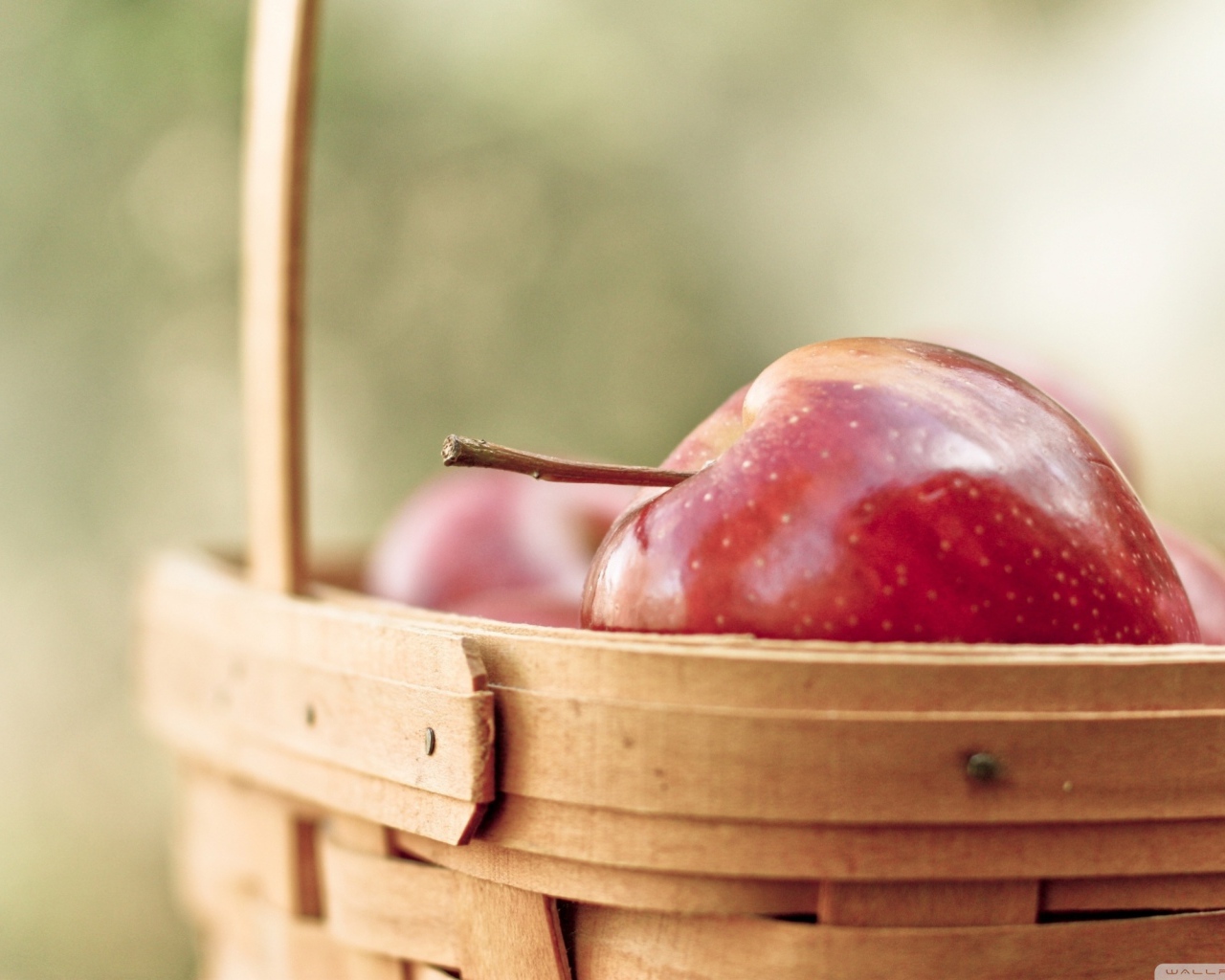 Корзина с яблоками