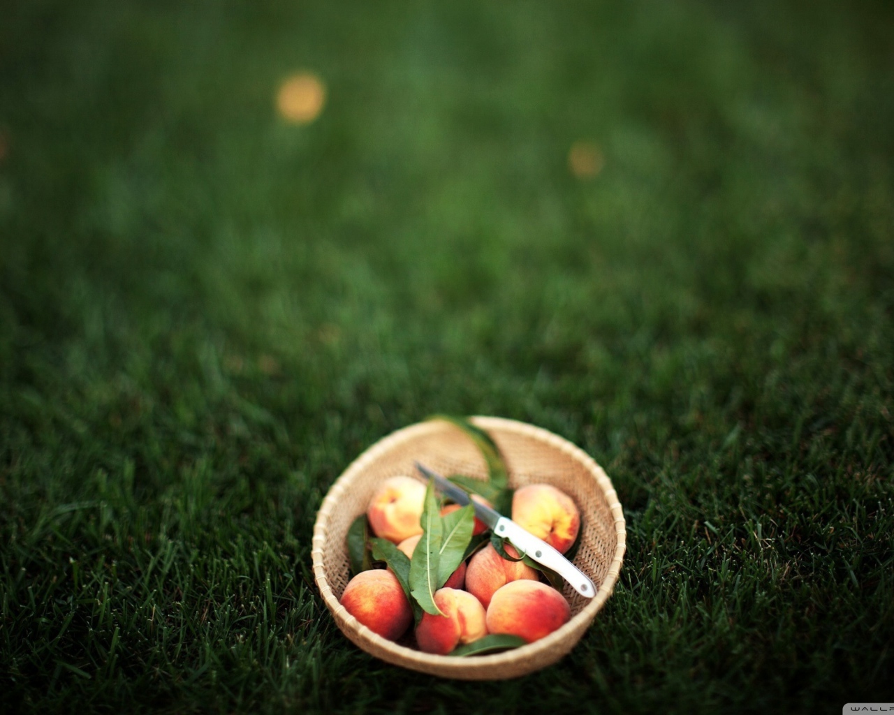 Персики в миске