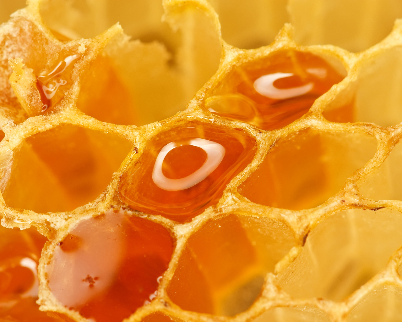 Мед в сотах