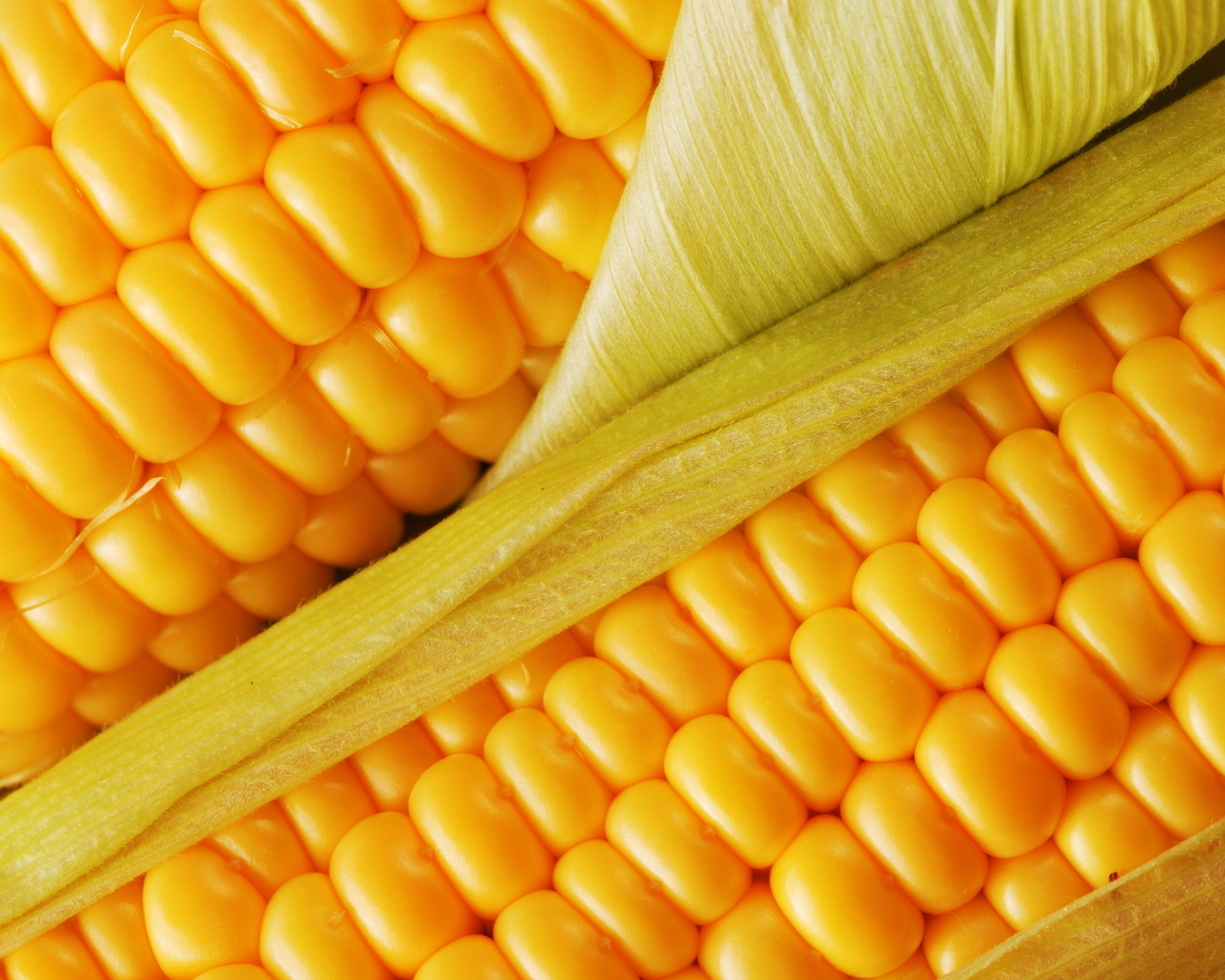 juicy corn