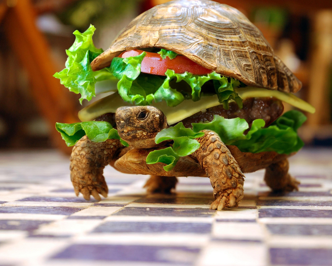 Вкусная черепаха