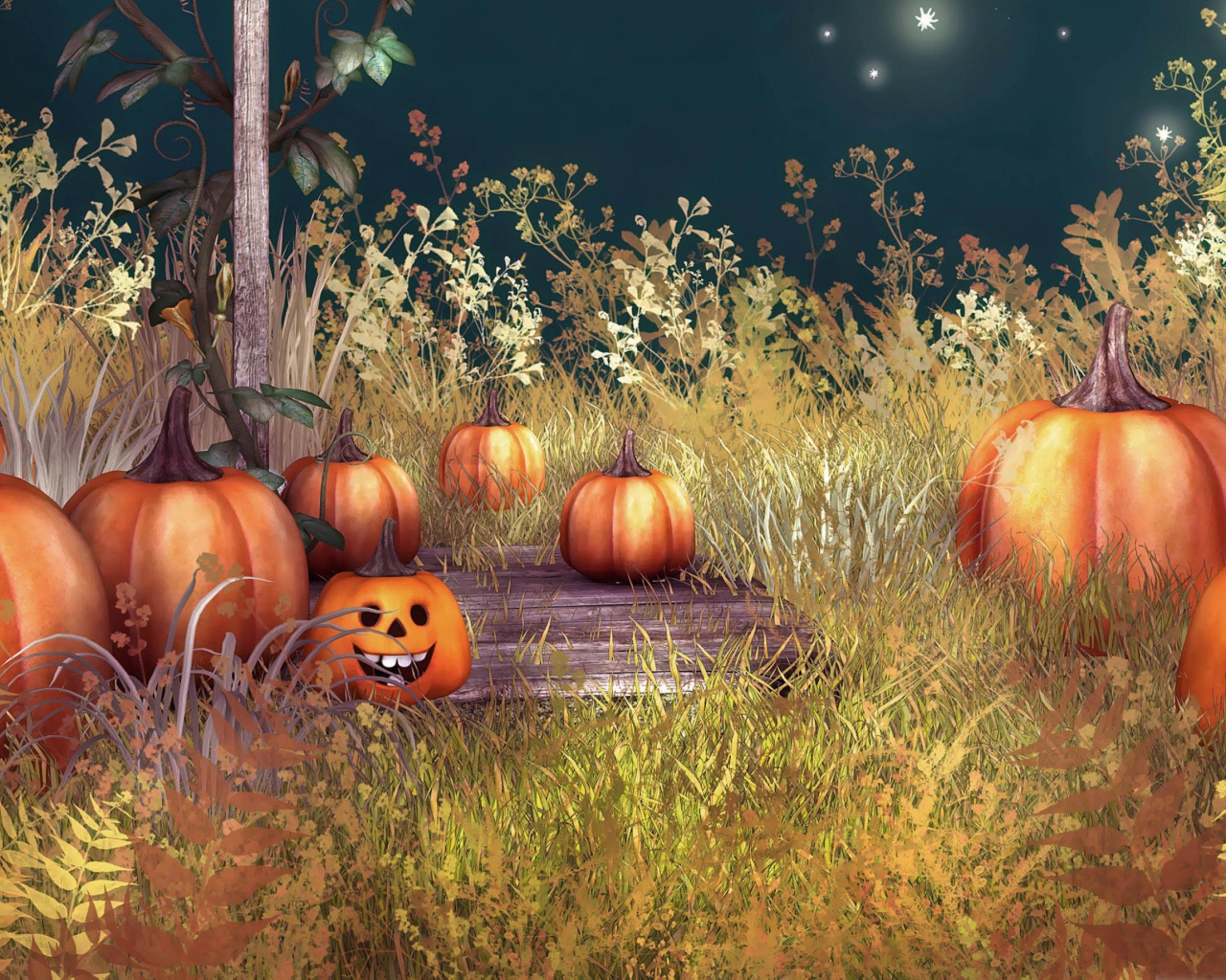 Тыквы в лесу