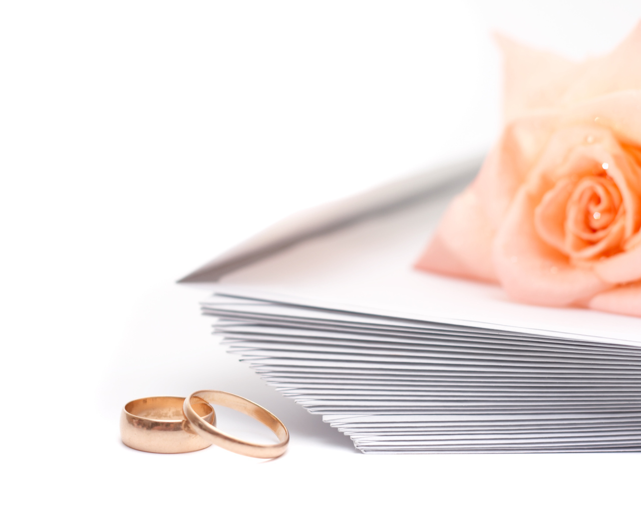 Обручальные кольца