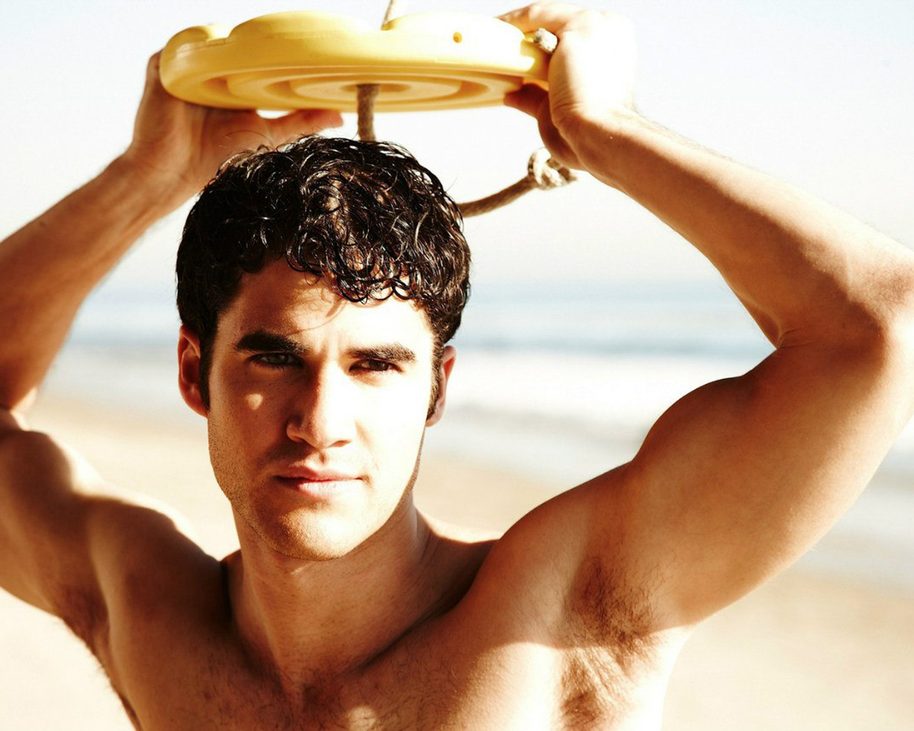 Даррен Крисс (Darren Criss)