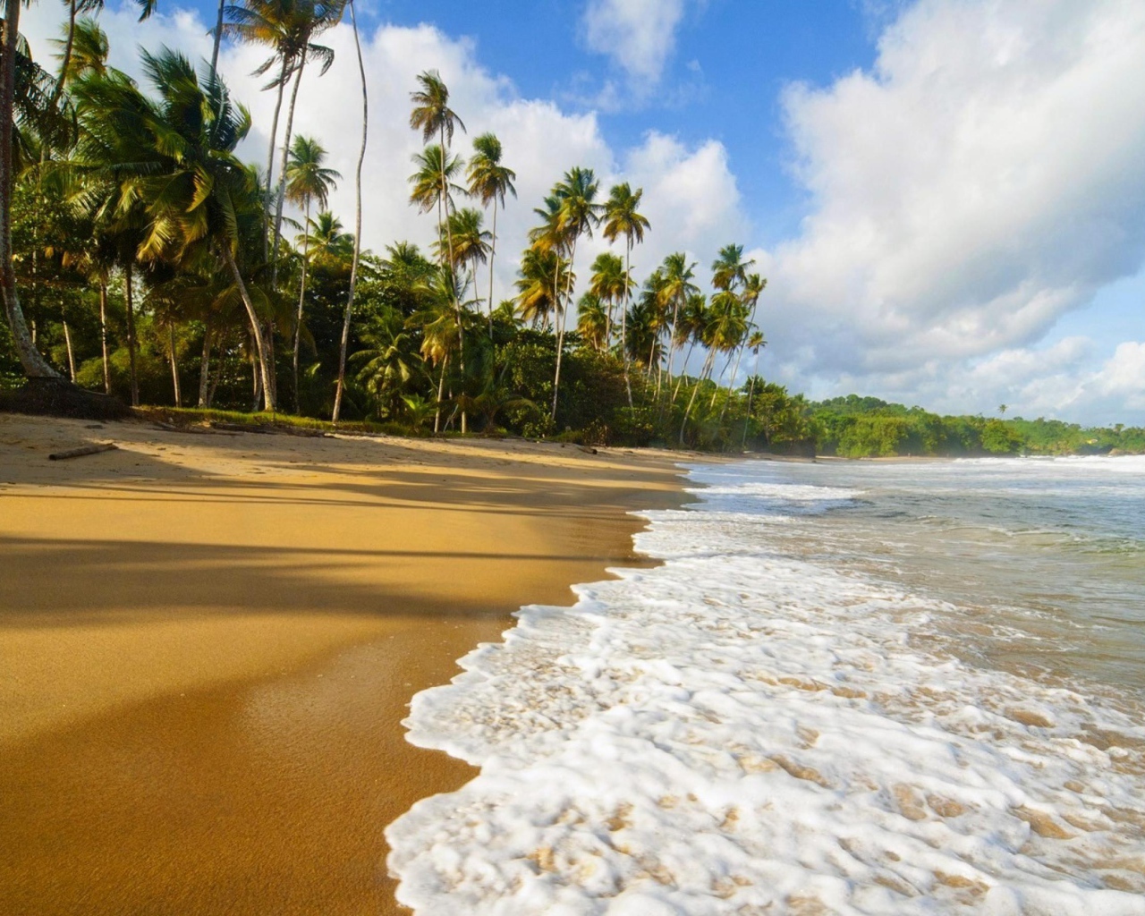 Пальмы и пляж