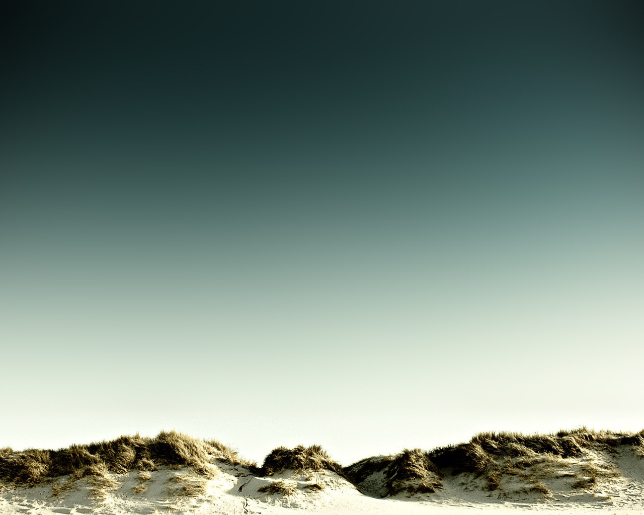 Песочные дюны на пляже