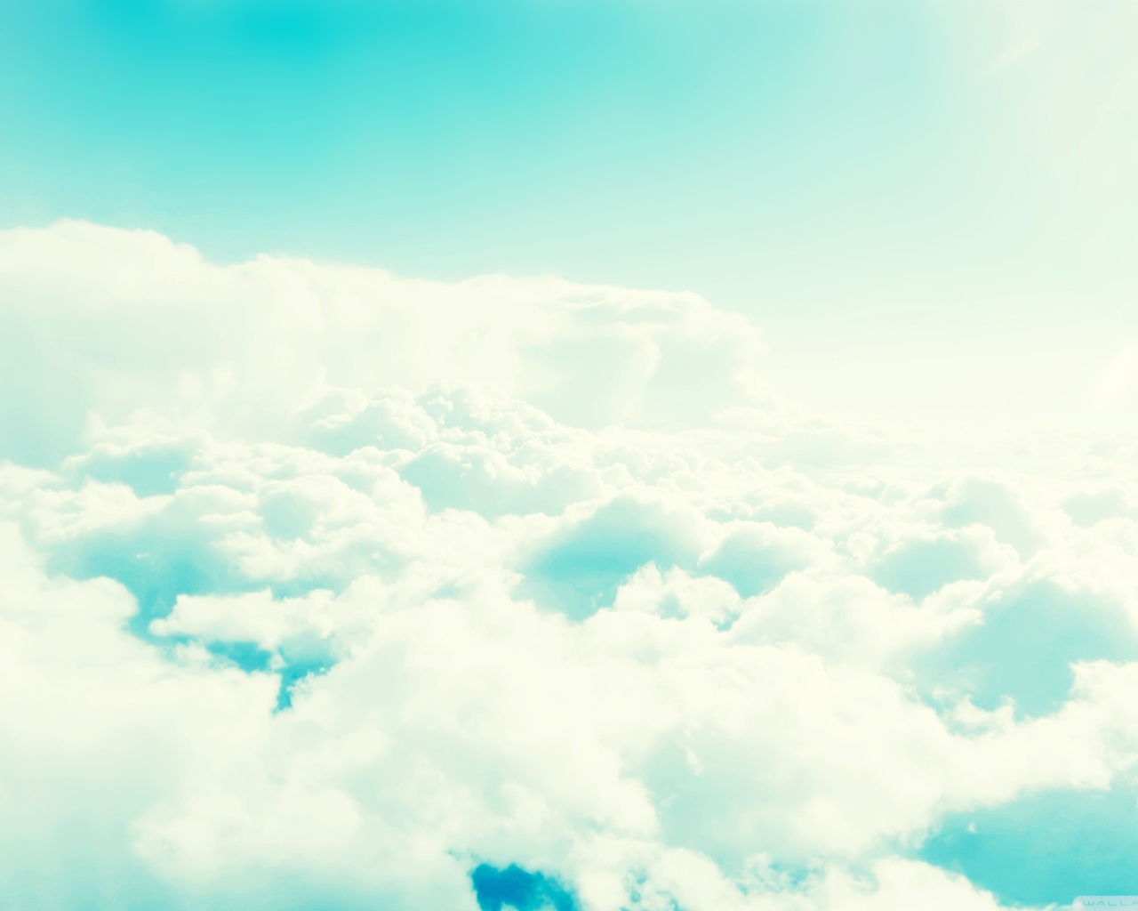 Облачная гавань