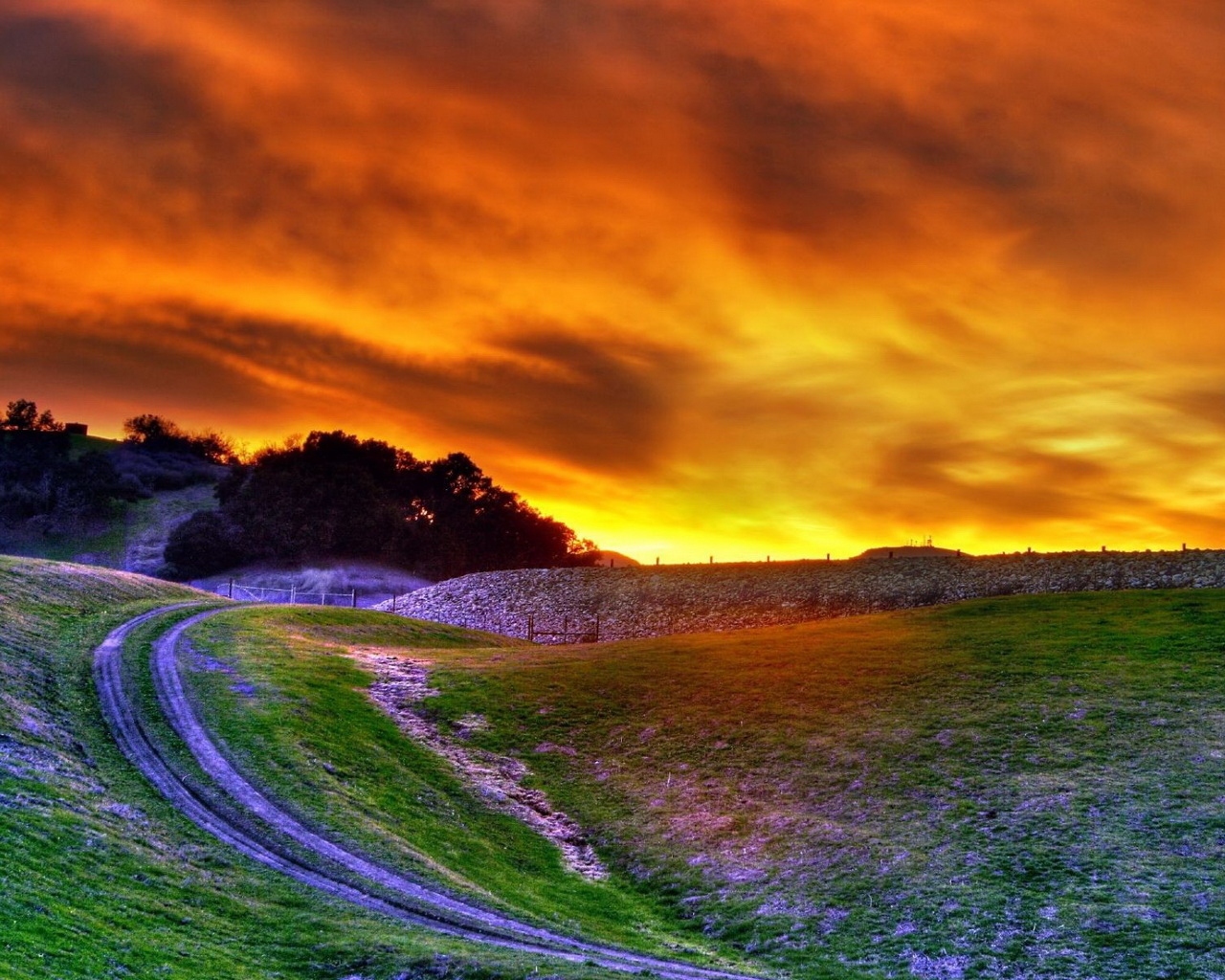 Поле на закате