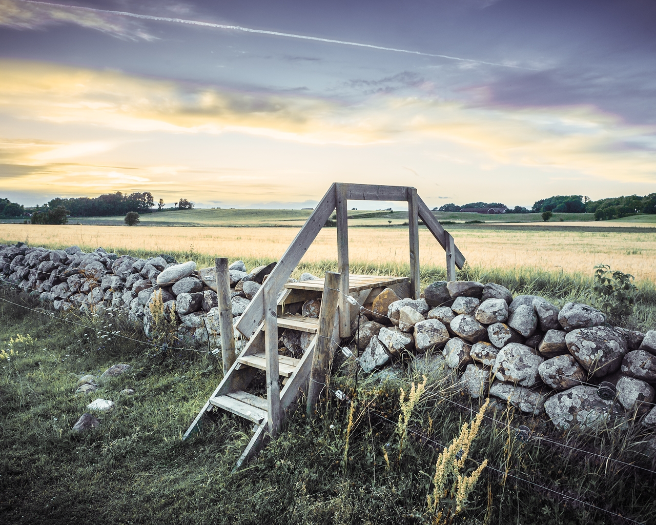 Лестница в поле